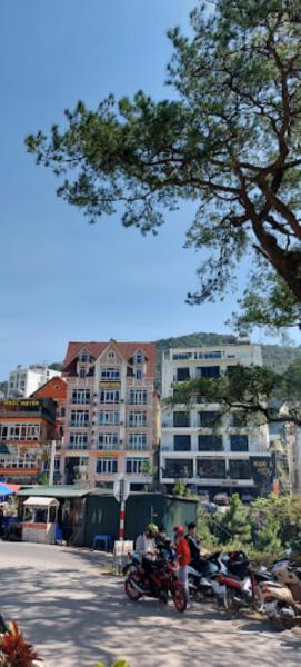 Orient Tam Đảo Hotel
